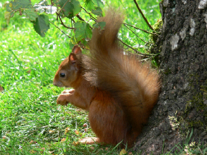 March 2008