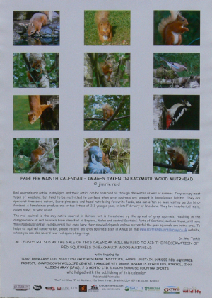 2007 Back Cover - click to enlarge