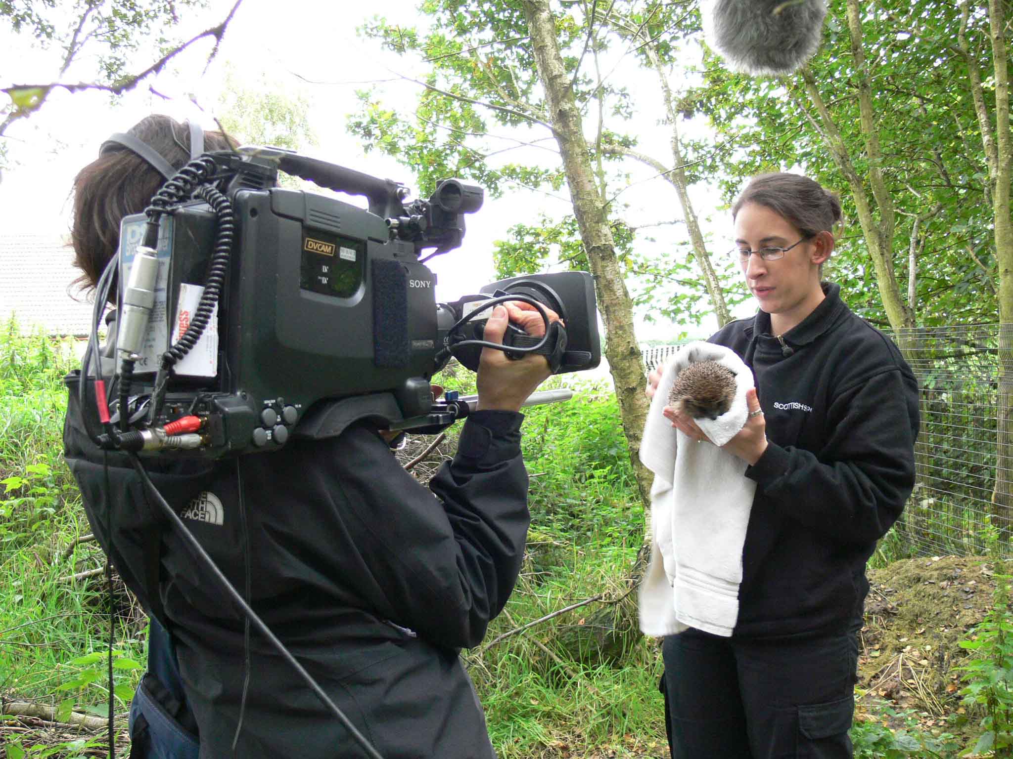 SSPCA officer Nadia with film crew and hoglet