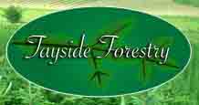 TaysideForestryBannerNewCrop.jpg